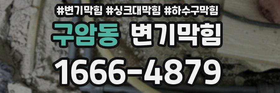 변기막힘