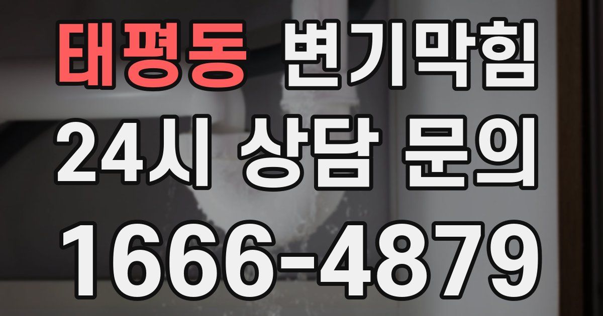 태평동 변기