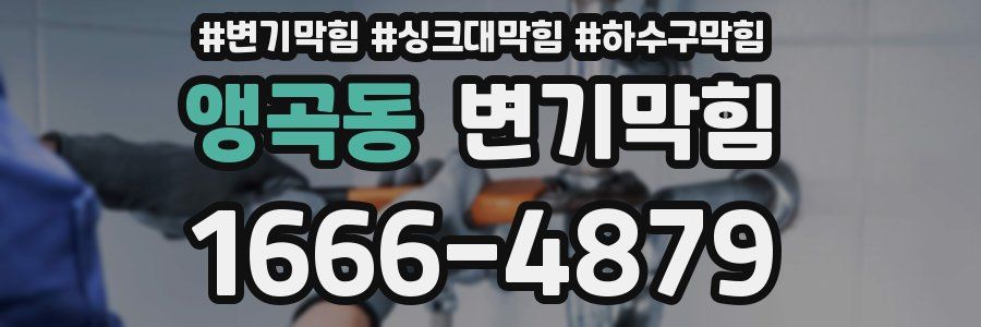 변기막힘