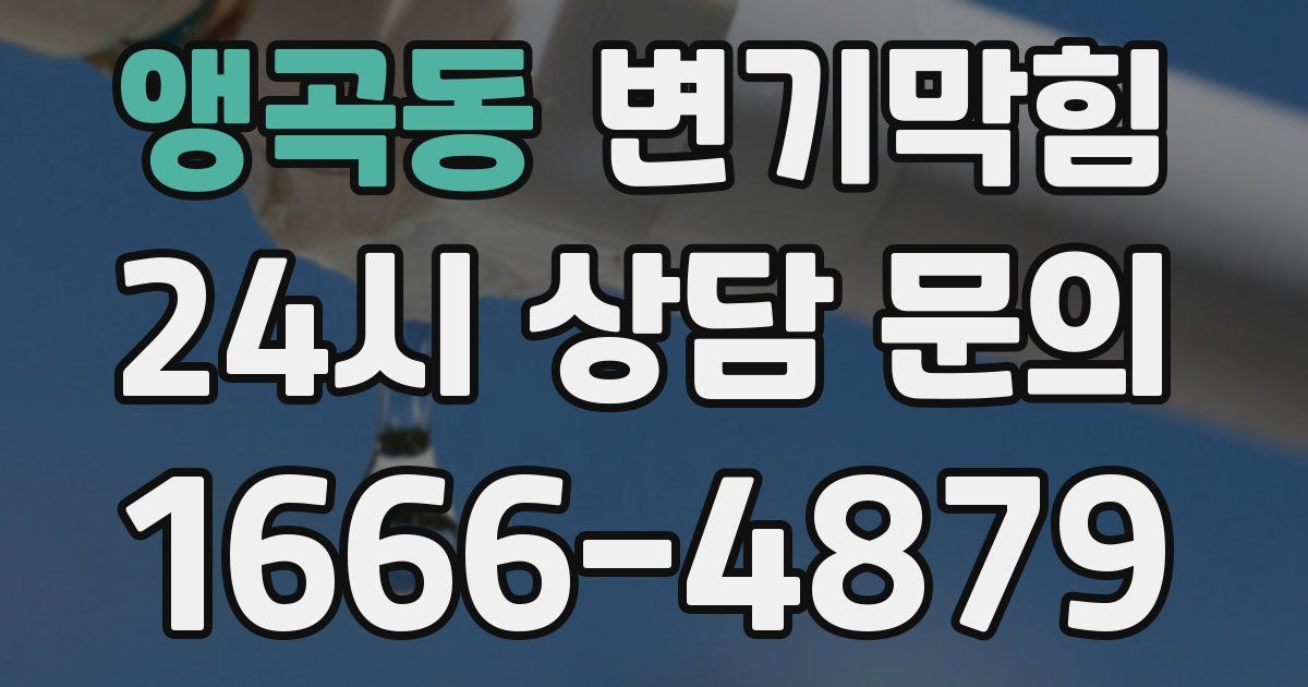 앵곡동 변기