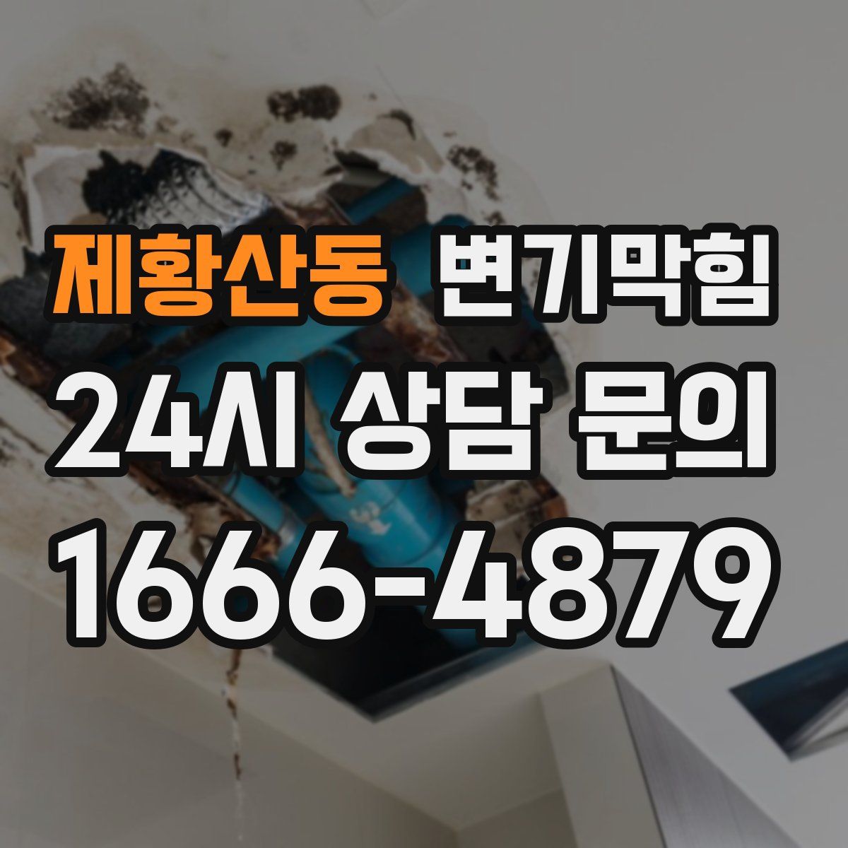 제황산동 변기막힘