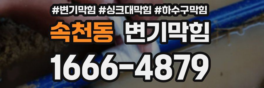 변기막힘