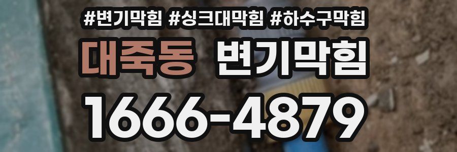 변기막힘