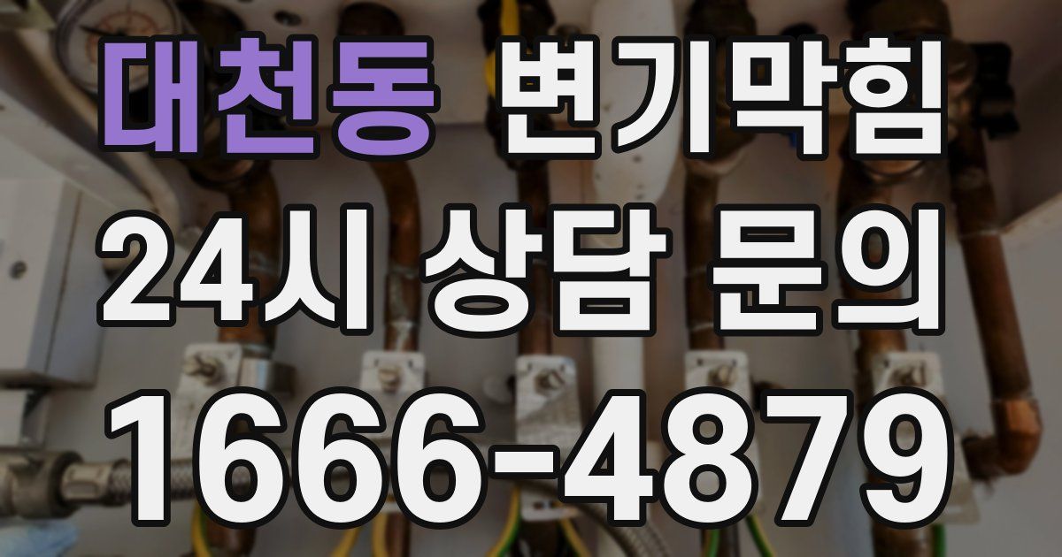 대천동 변기