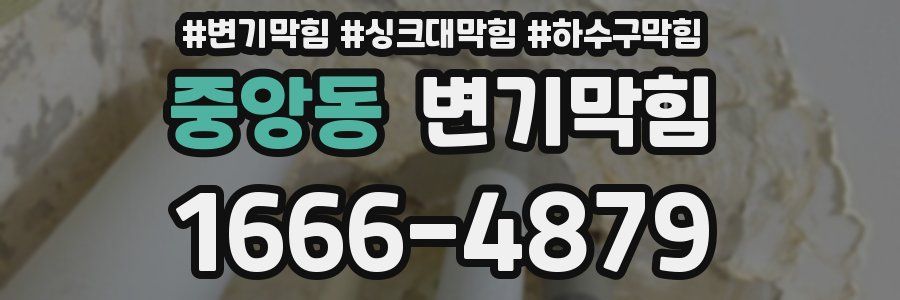 변기막힘