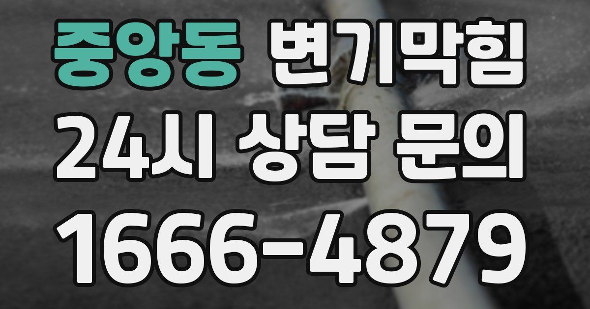 중앙동 변기