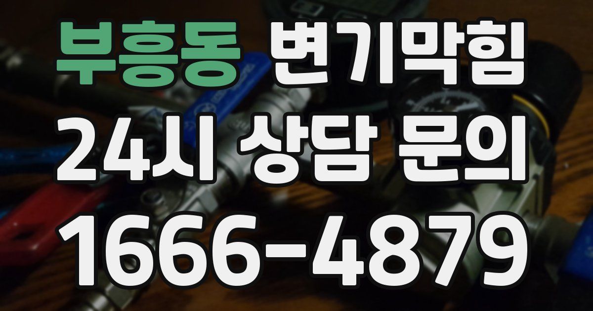 부흥동 변기