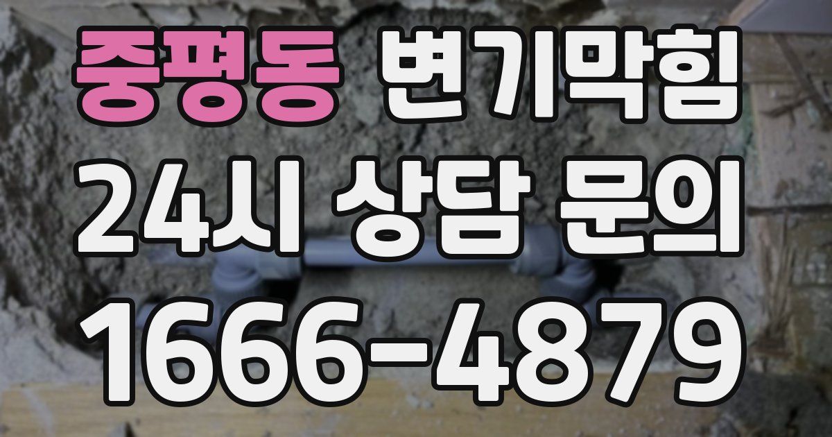 중평동 변기