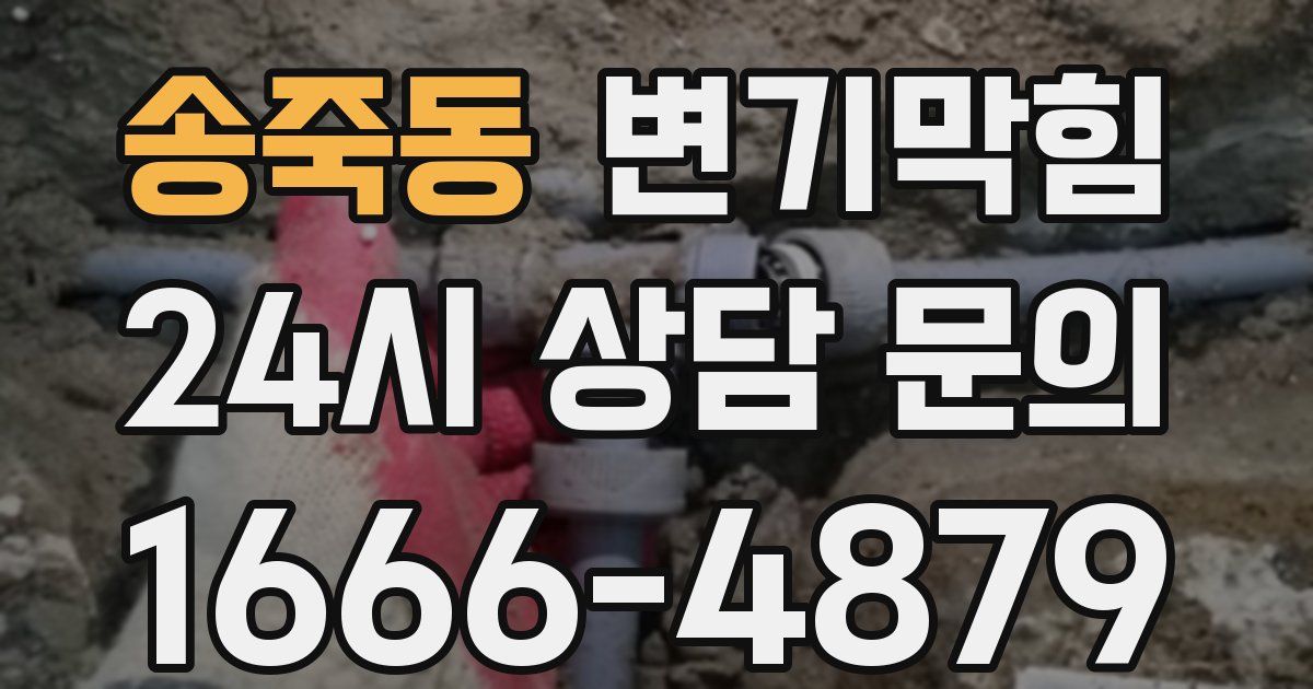 송죽동 변기