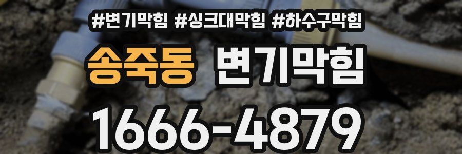 변기막힘