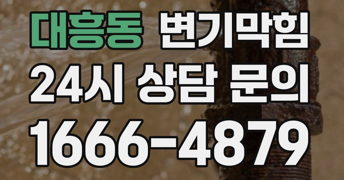 대흥동 변기