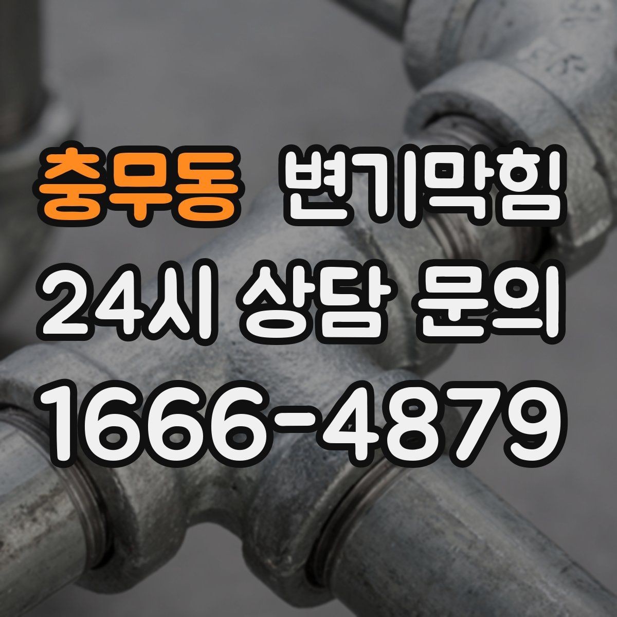 충무동 변기막힘 뚫어뻥 소독과 건조 보관 방법