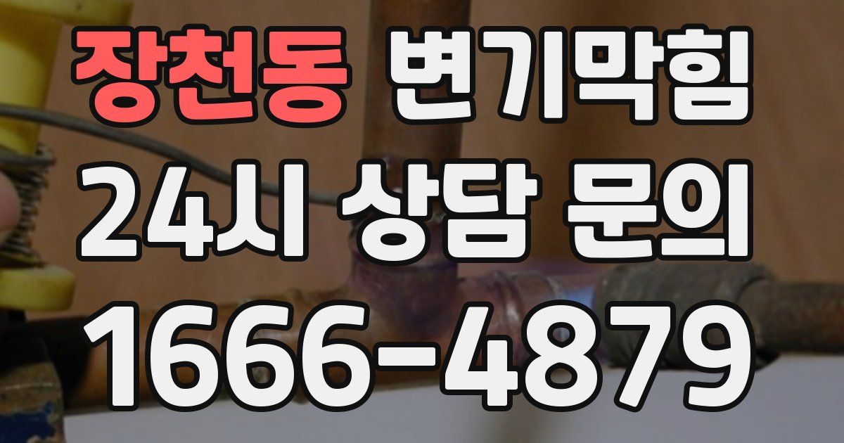 장천동 변기