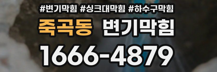 변기막힘
