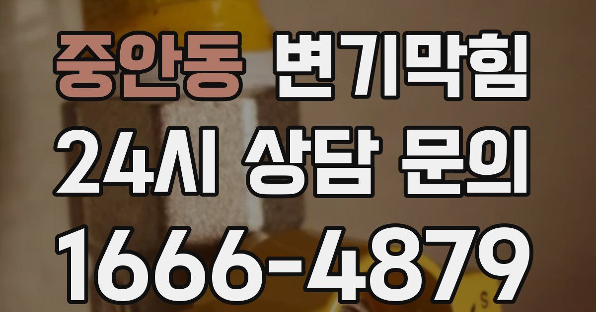 중안동 변기