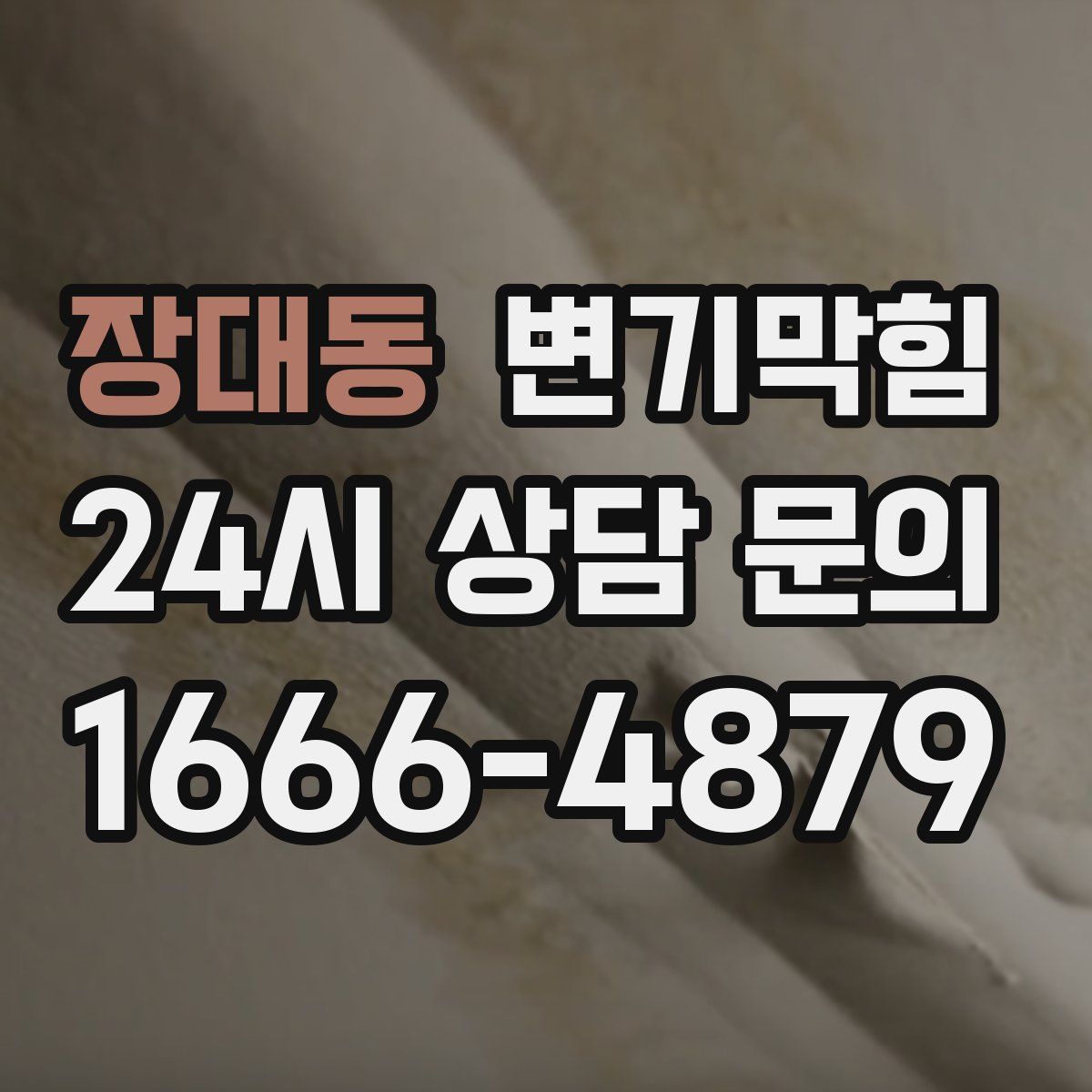 장대동 변기막힘