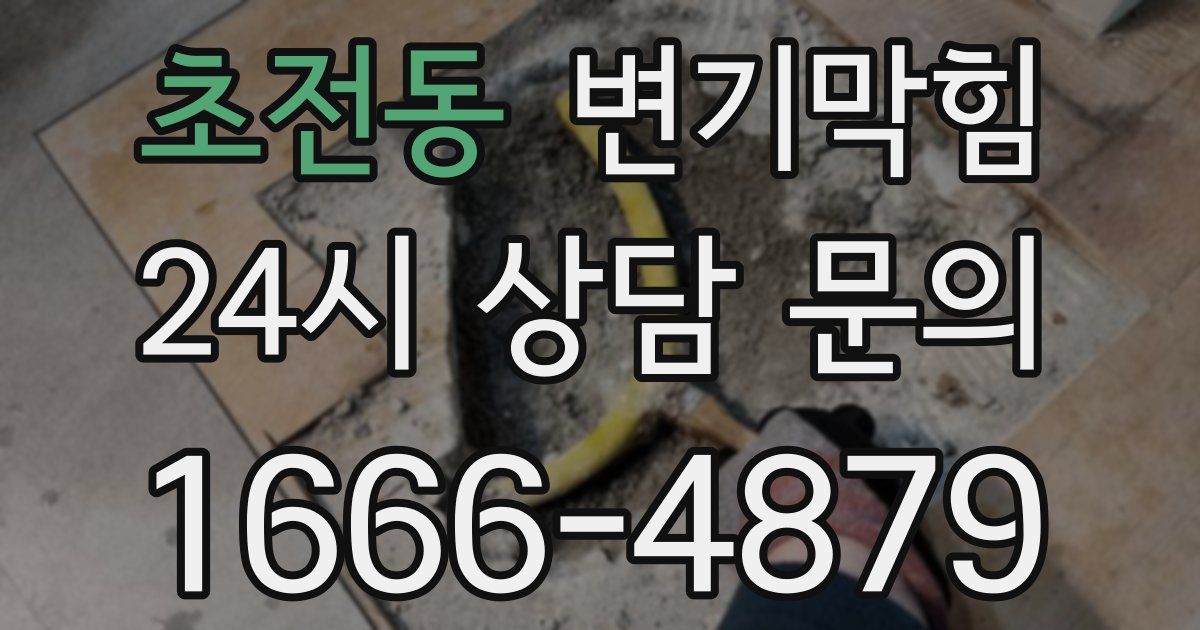 초전동 변기