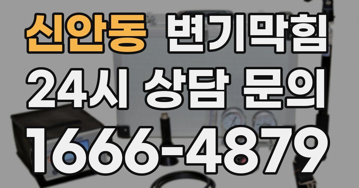 신안동 변기