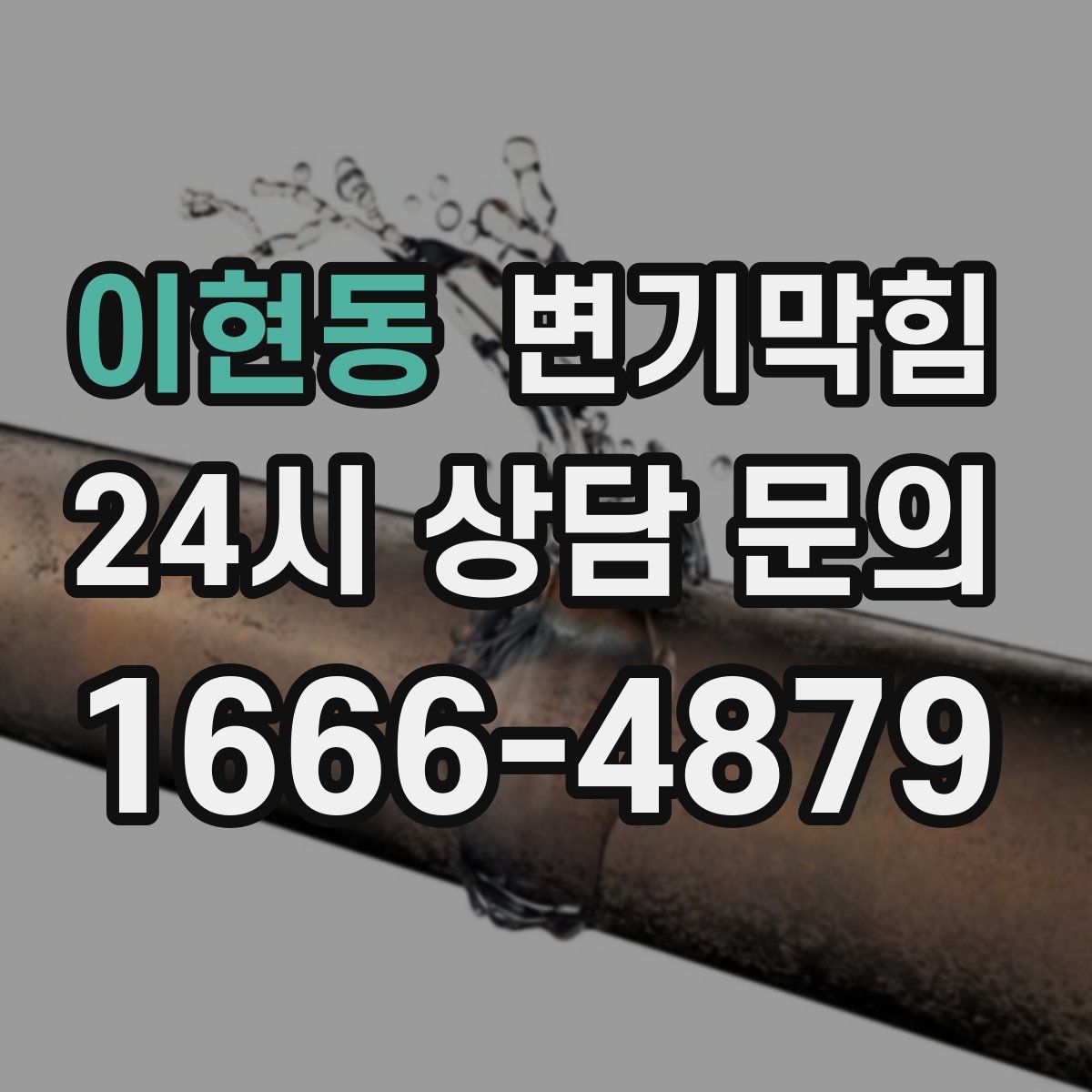 이현동 변기막힘