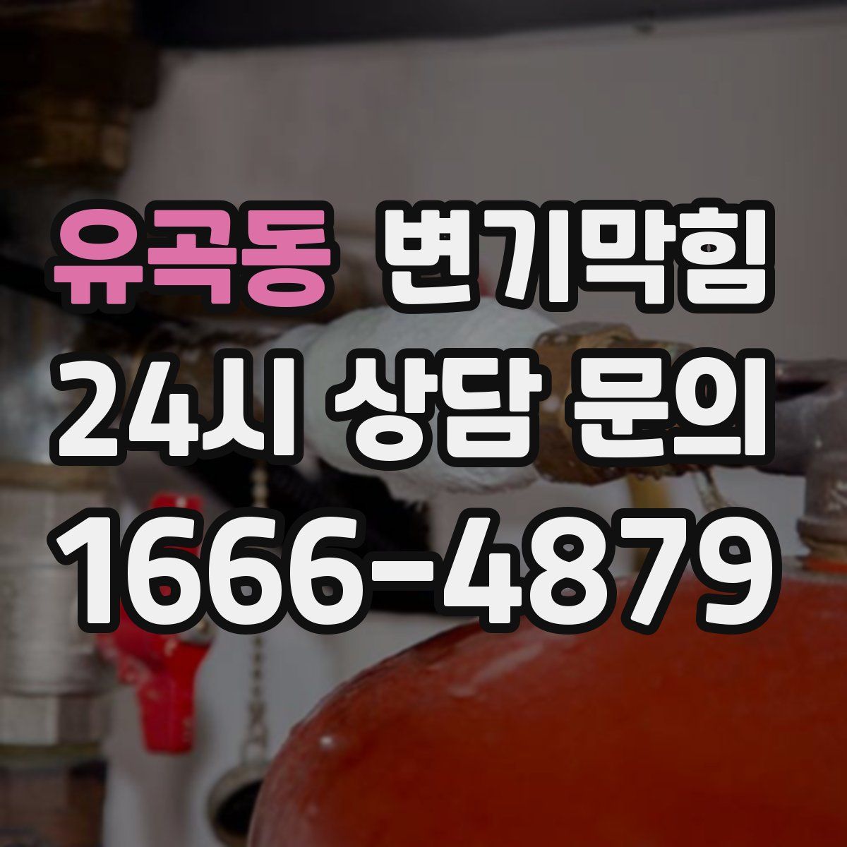 유곡동 변기막힘