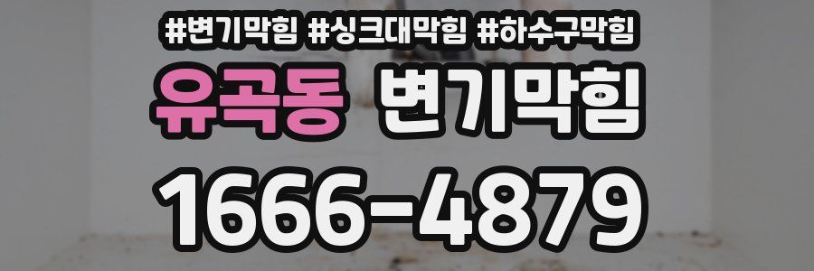 변기막힘