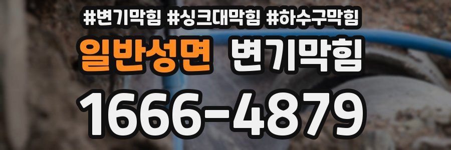 변기막힘