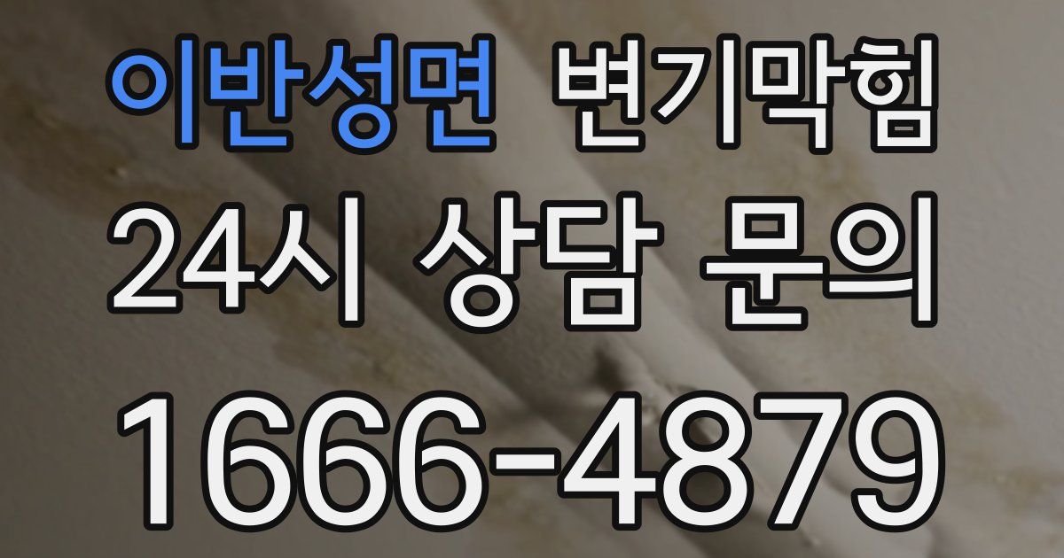 이반성면 변기