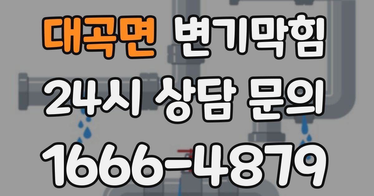 대곡면 변기