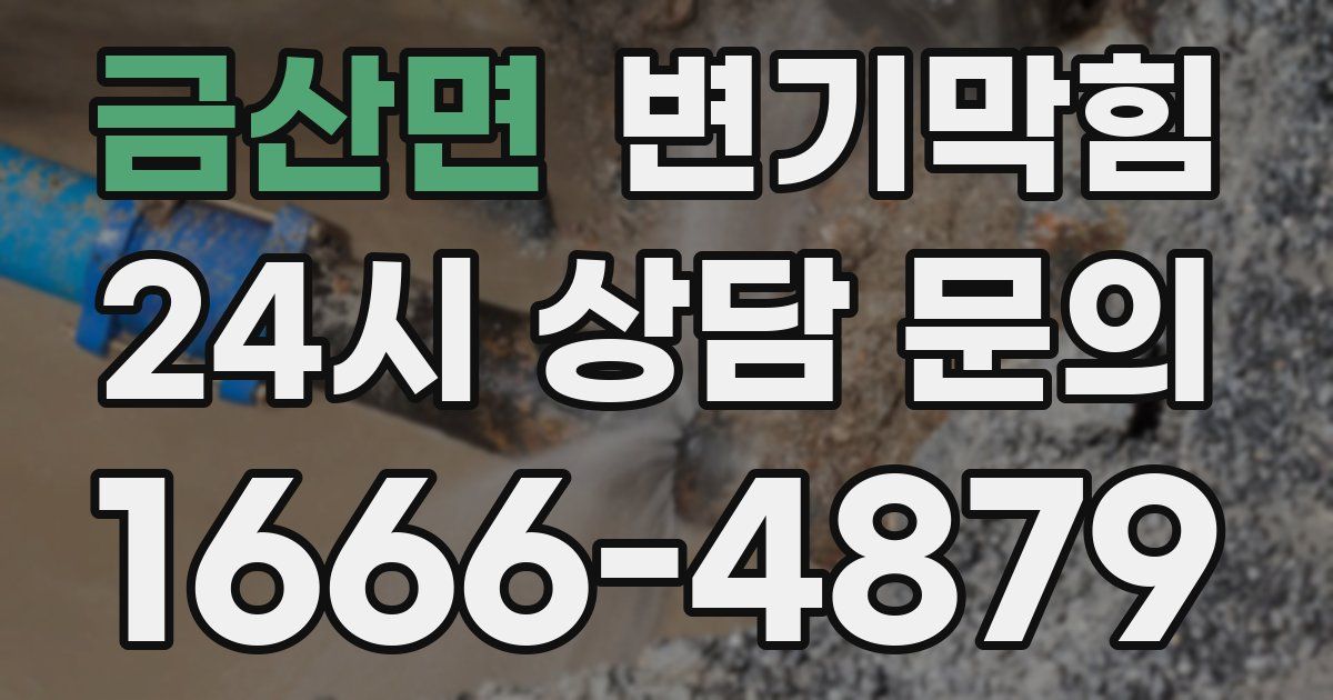 금산면 변기