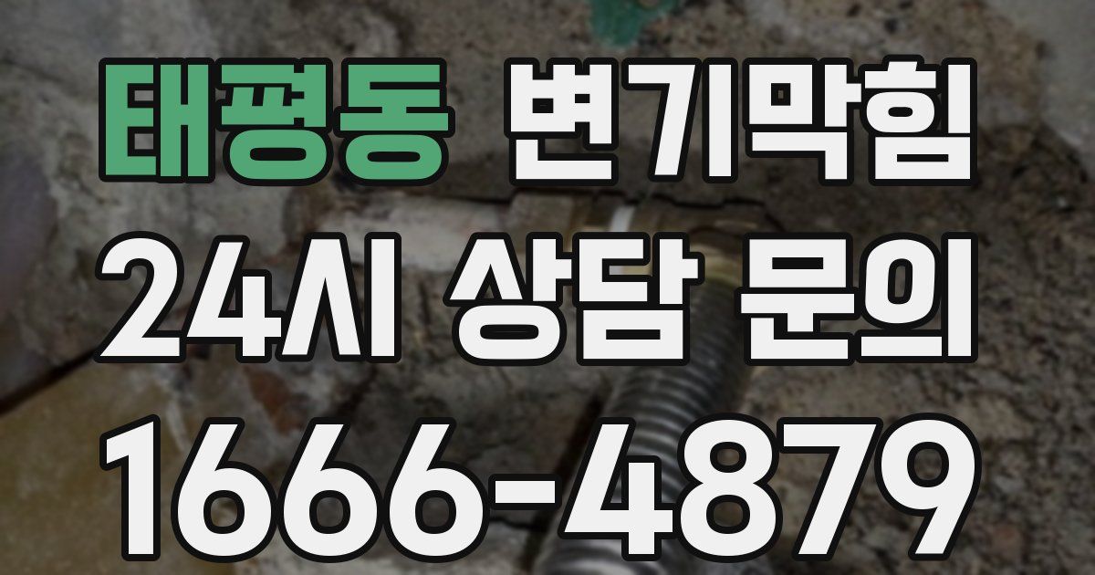 태평동 변기