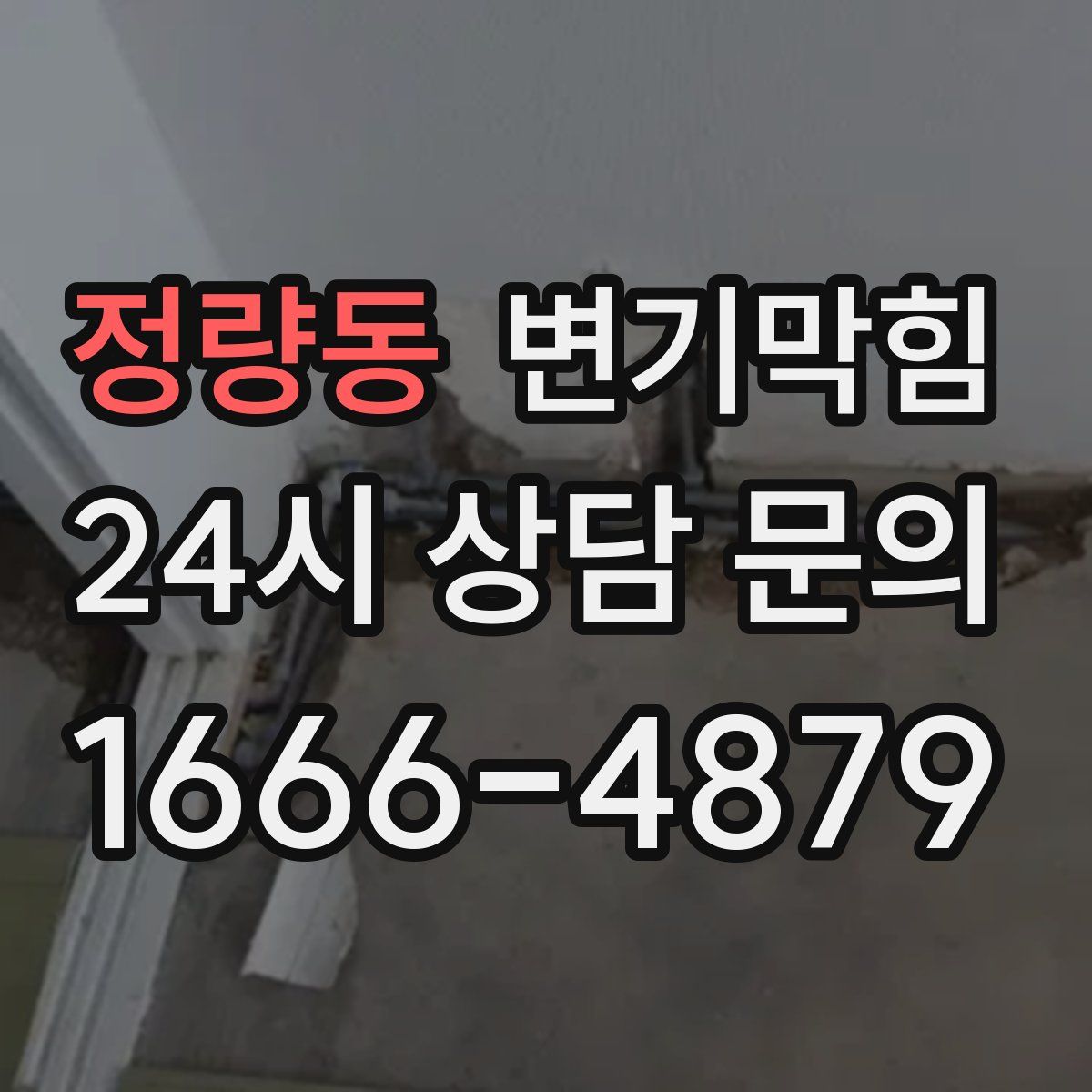 정량동 변기막힘
