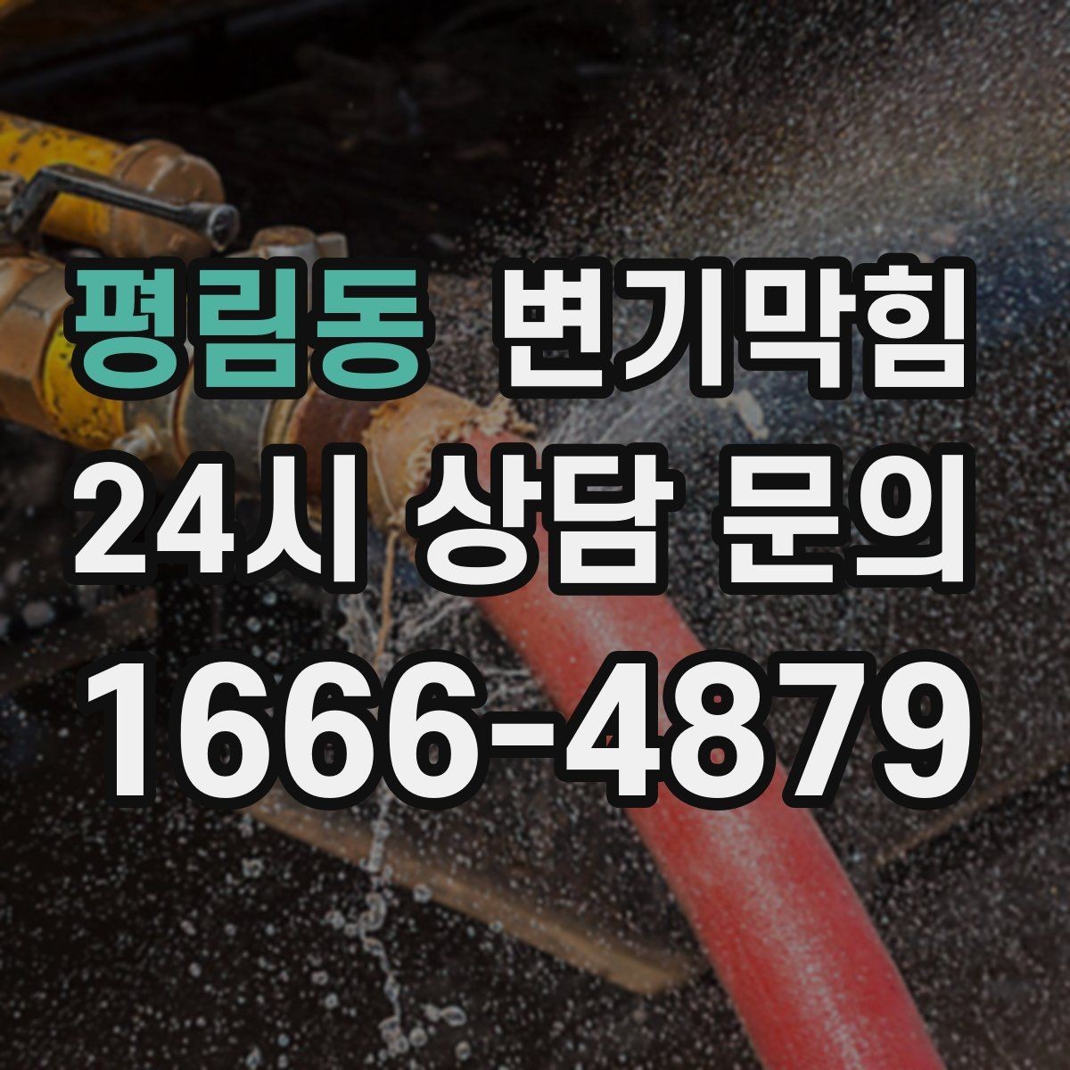 평림동 변기막힘 원룸 배수구막힘 야간 예약 만족