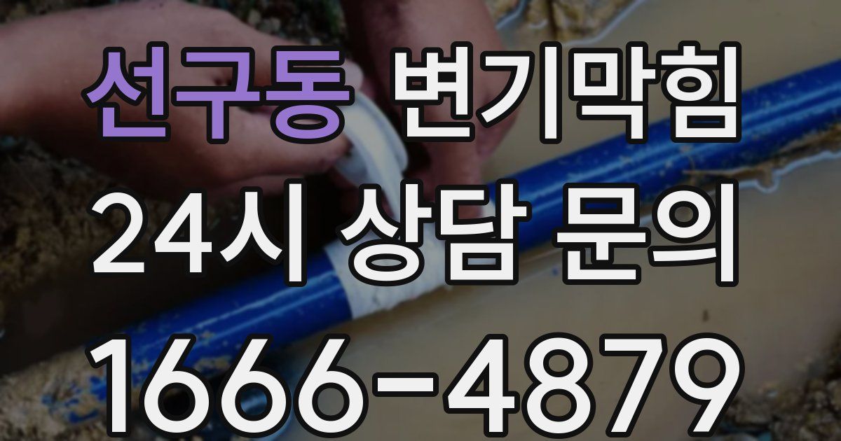 선구동 변기