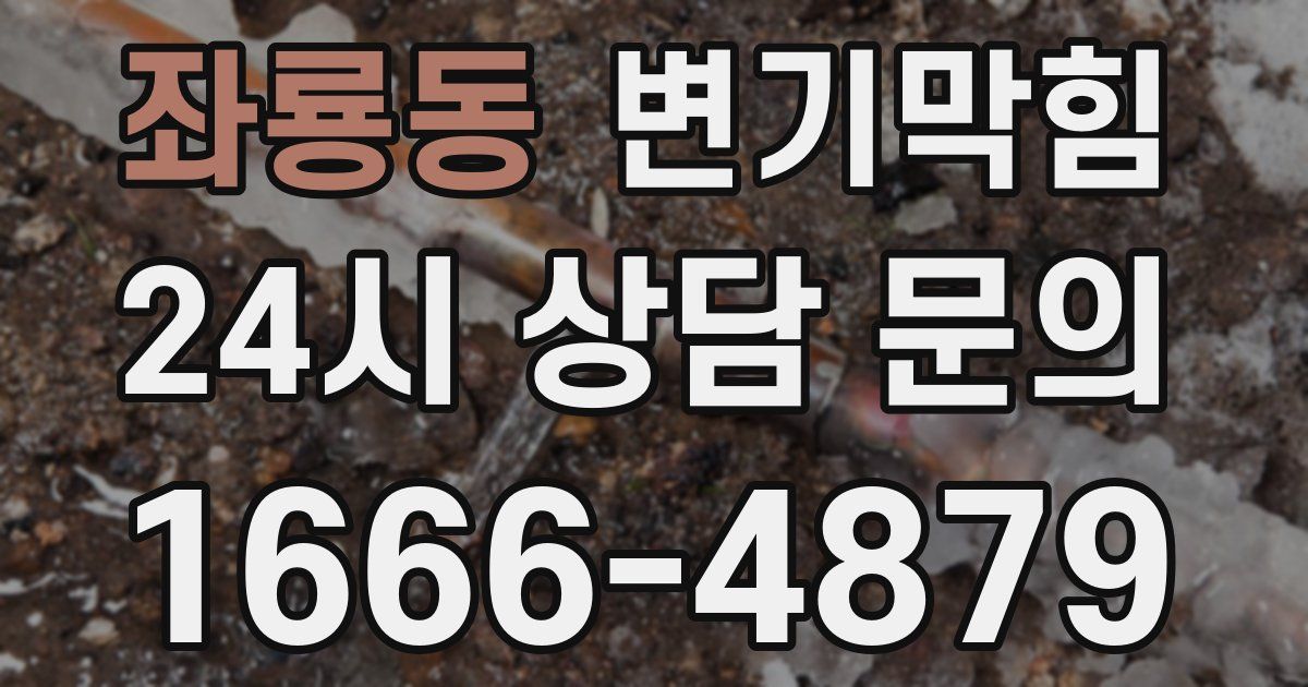 좌룡동 변기