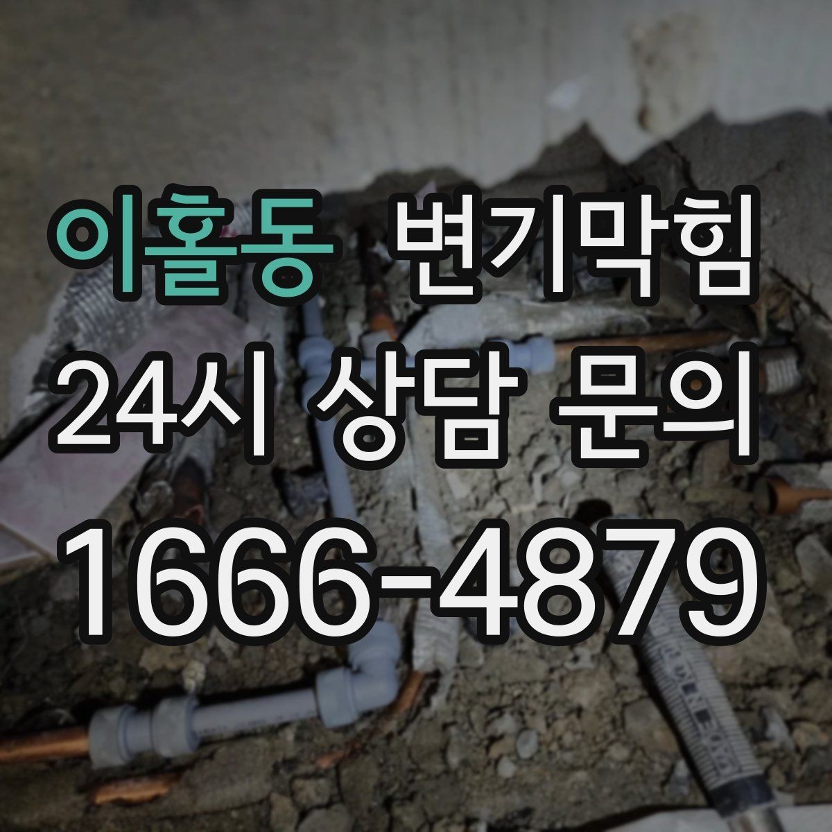 이홀동 변기막힘 카페 배수구막힘 오픈 키친 향 지킴