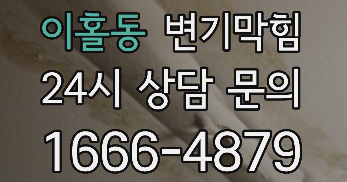이홀동 변기