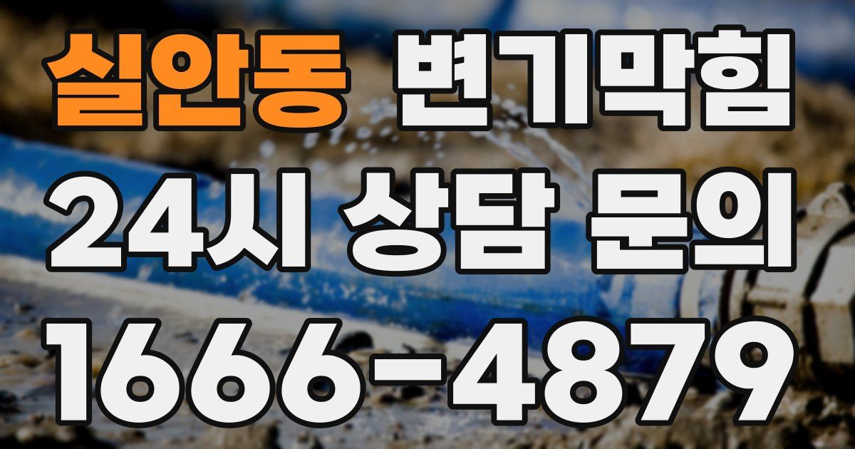 실안동 변기