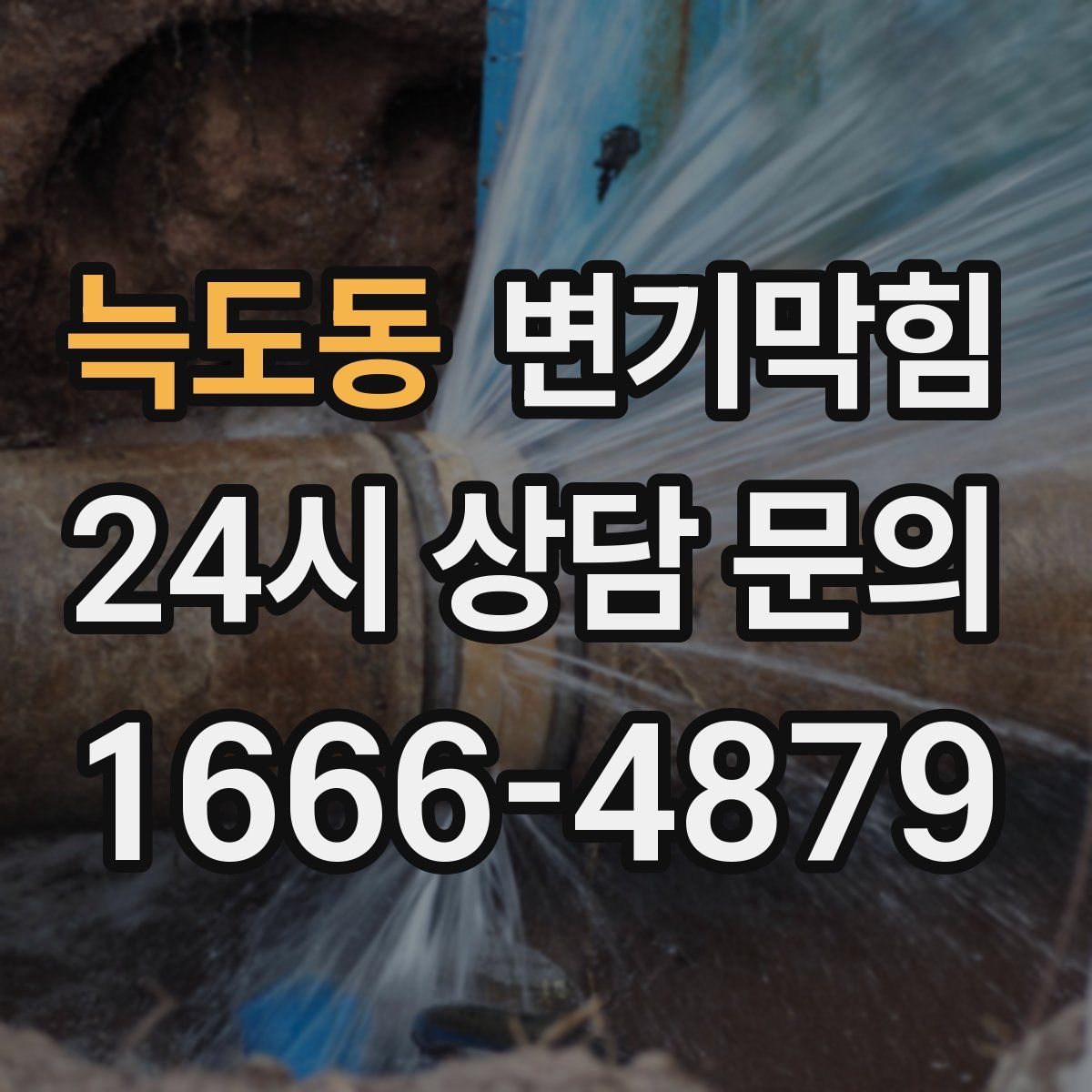 늑도동 변기막힘