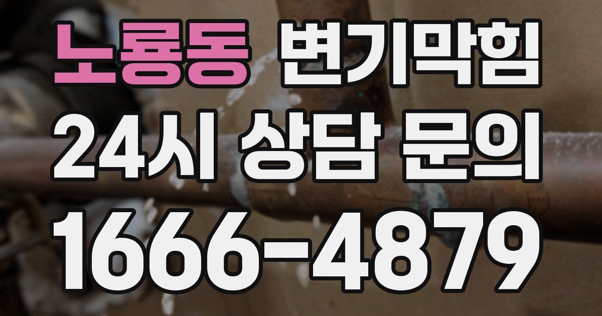 노룡동 변기