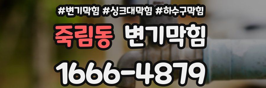 변기막힘