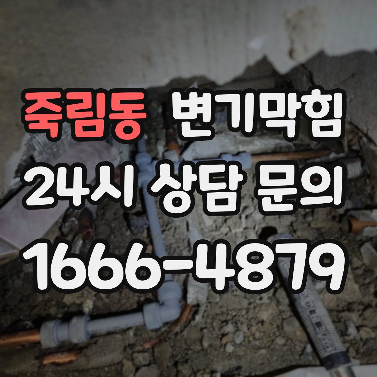 죽림동 변기막힘