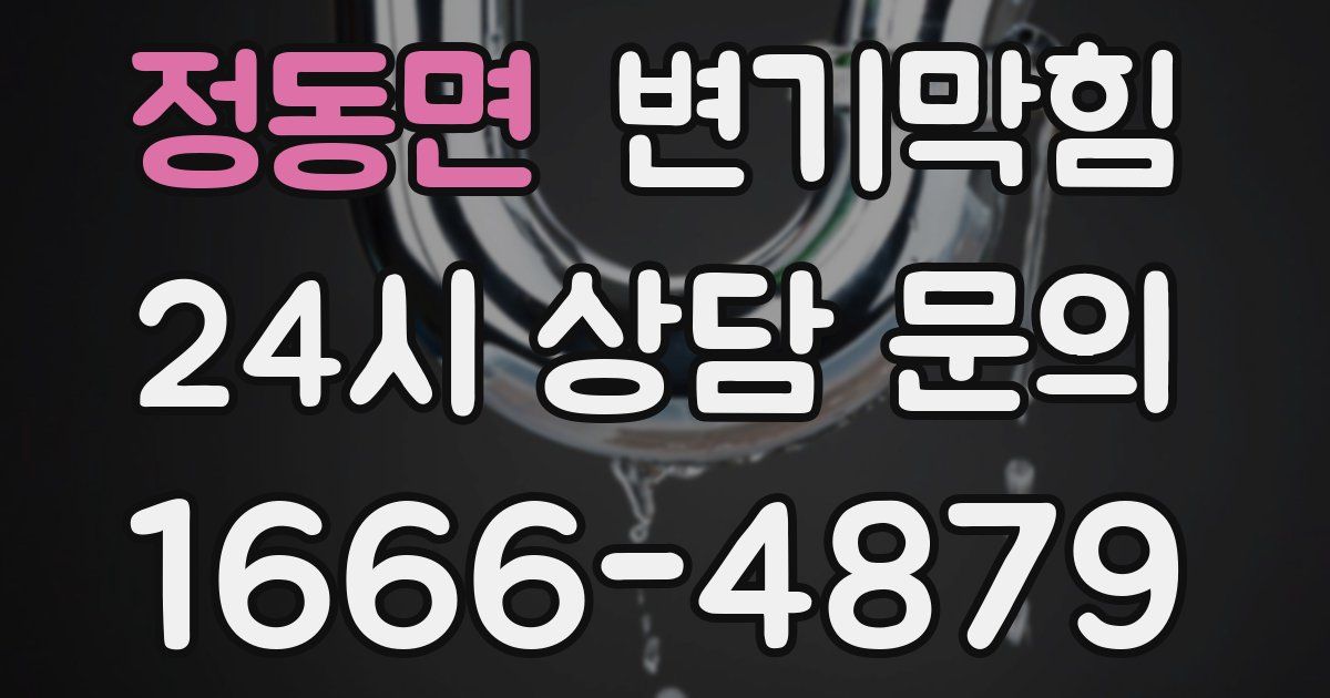정동면 변기