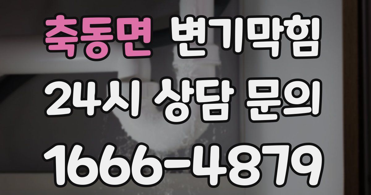축동면 변기