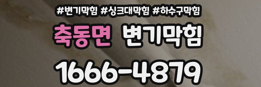 변기막힘