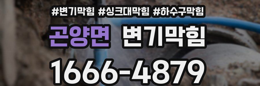 변기막힘