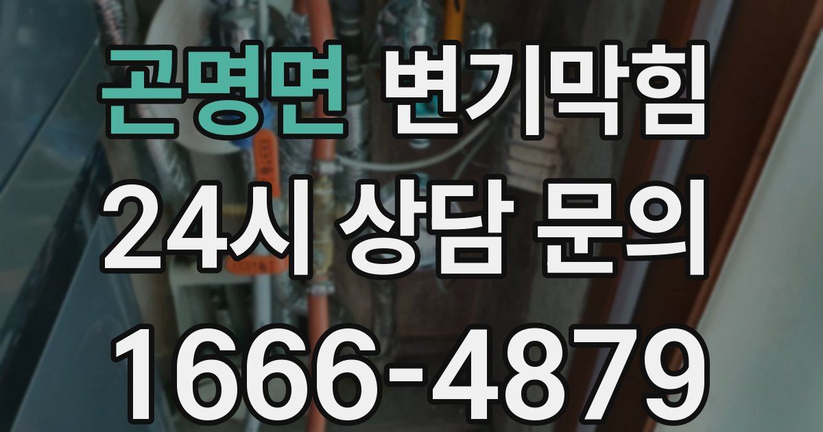 곤명면 변기