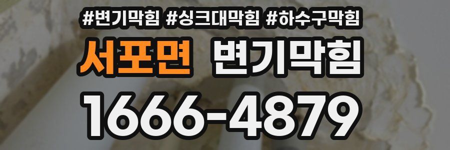 변기막힘