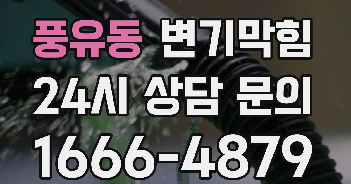 풍유동 변기