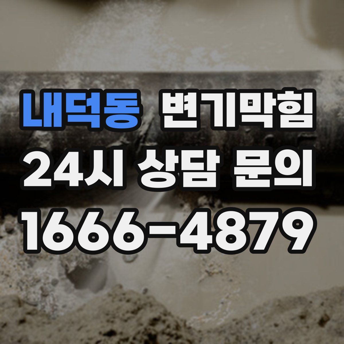 내덕동 변기막힘