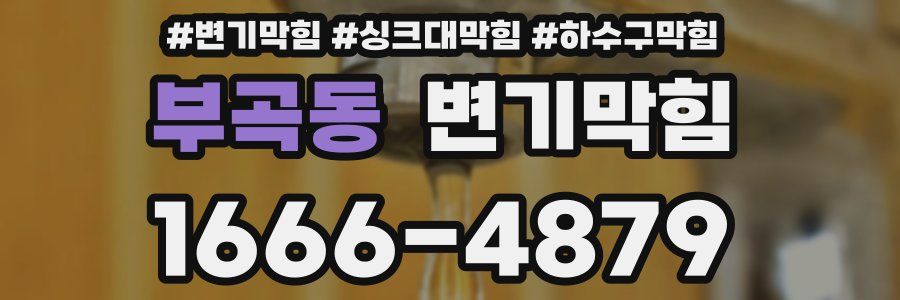 변기막힘